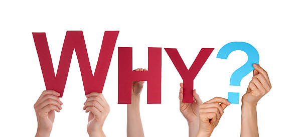 Why ShowbizzToday.com Stands Out